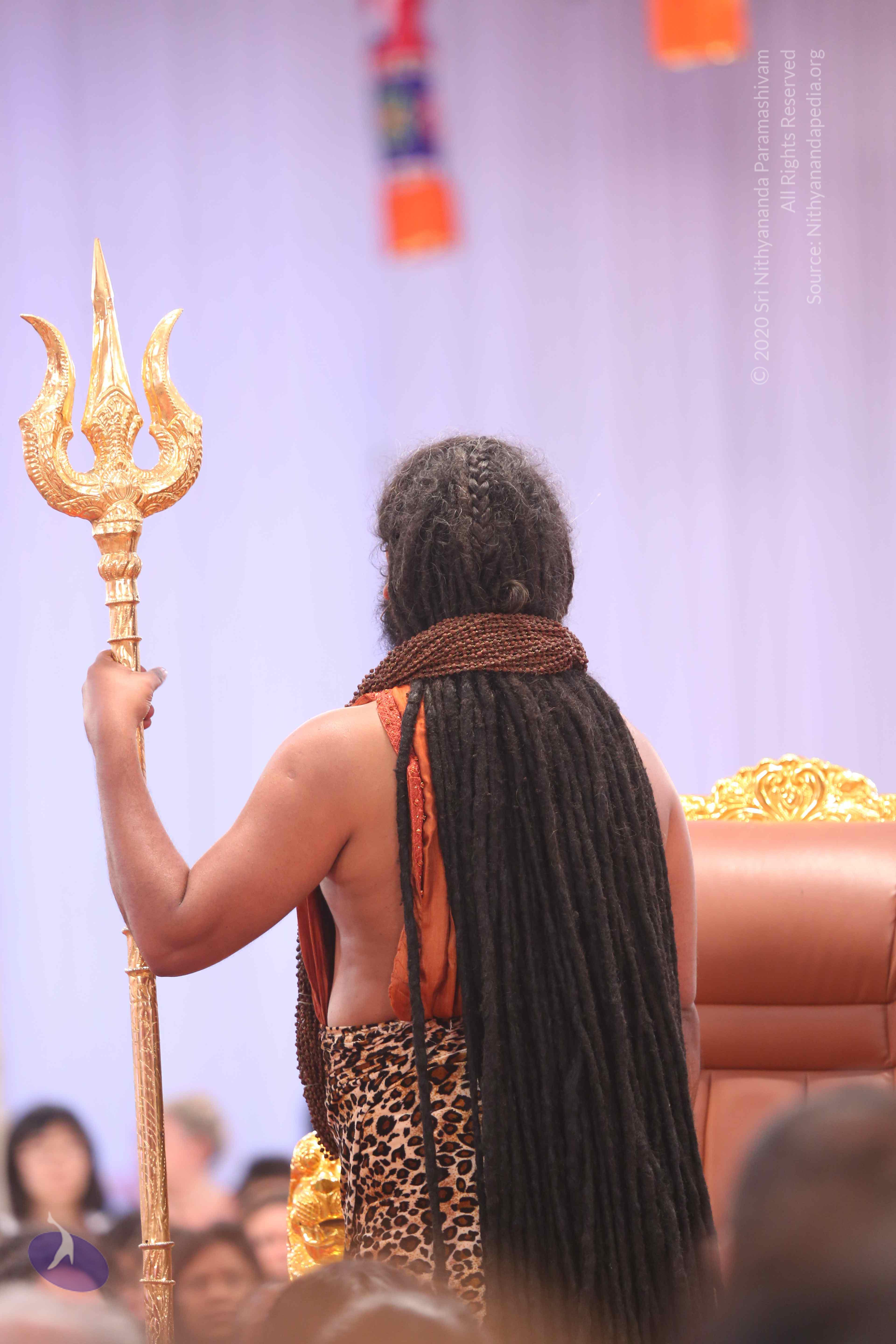 20161204_Photo_1218_IMGL5600_CMP_WM